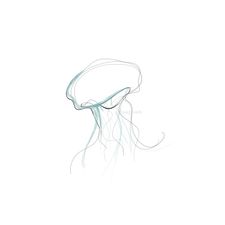 Jellyfish 11 2020 färg